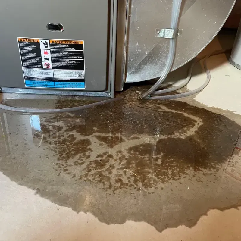 Appliance Leak Cleanup in Lyndon, KY